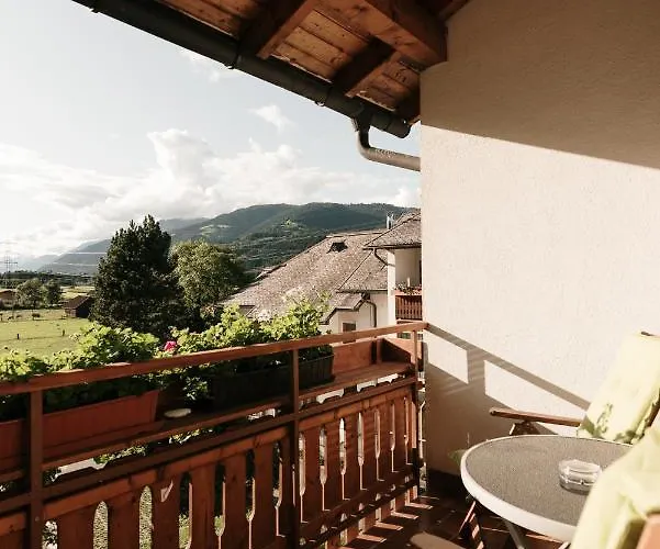 Booknassfeld Tröpolach